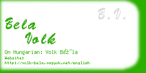 bela volk business card
